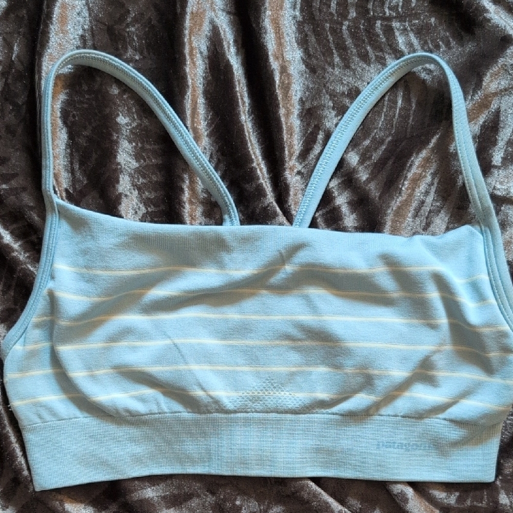 Patagonia Light Blue Striped Women's Bralette